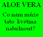 Aloe Vera