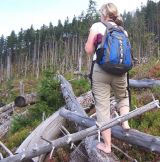 Cesta k prameni Visly nen� snadn�