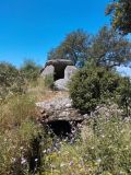 Anta Grande de Herdade