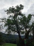Vtejte na Doupov