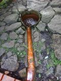Horn otronsk kyselka 