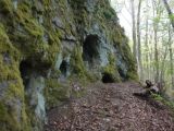 Skalky sk��tk�