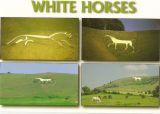 Bílí konì v Uffingtonu (pohlednice)